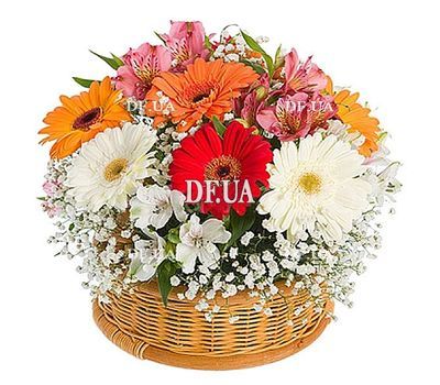 Basket with gerberas
