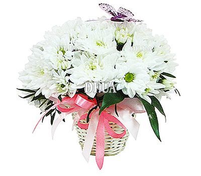 Basket with chrysanthemums