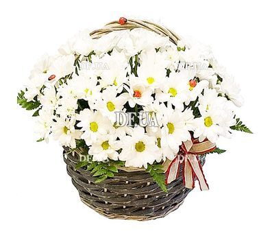 Girl`s basket