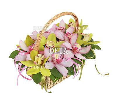 Basket made of pink and green orchids