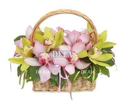 Корзинка из розовых и зеленых орхидей