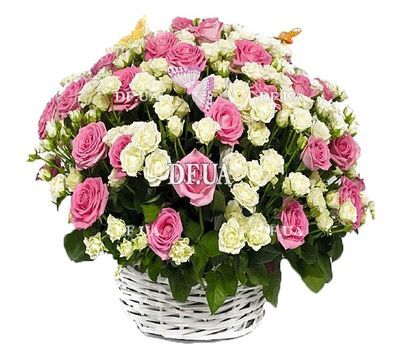 Basket with a bush rose