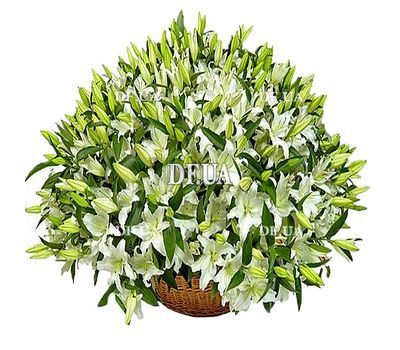 A huge basket of lilies