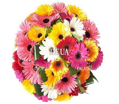 Huge bouquet of gerberas