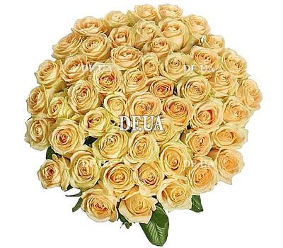 Персиковые розы