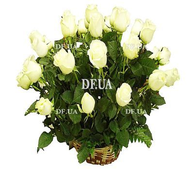 Roses in the basket