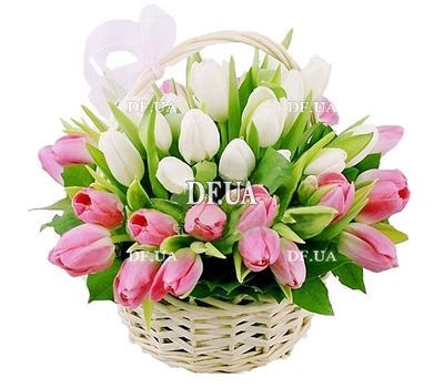 Tulips in the basket