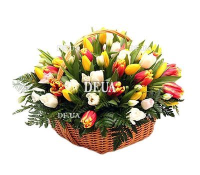 101 tulip in the basket