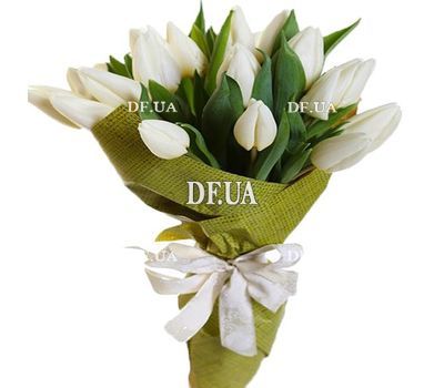21 white tulip