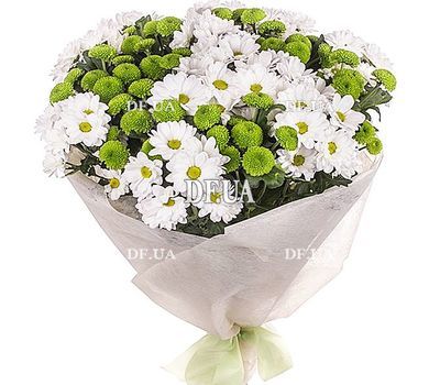 25 chrysanthemums