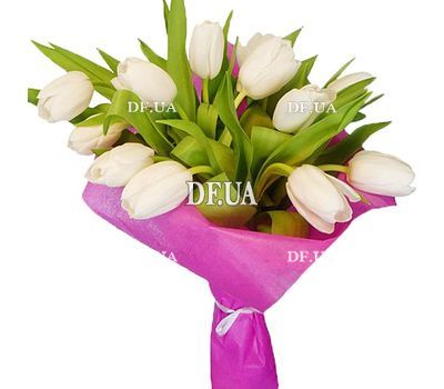 White Tulips