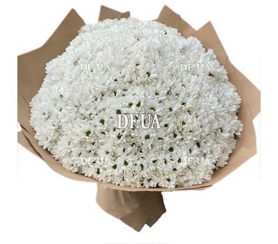 Bouquet of 101 chrysanthemums