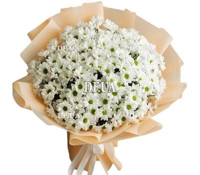 Букет из 25 хризантем
