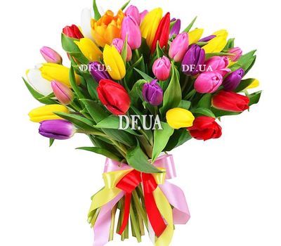 Bouquet of 51 tulips