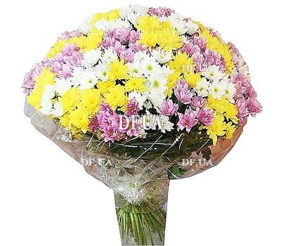 Bouquet of chrysanthemum