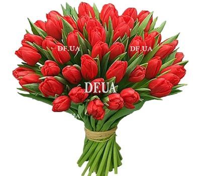 Bouquet of red tulips