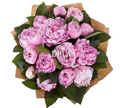 Bouquet of peonies