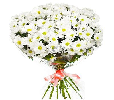 Букет из ромашек купить