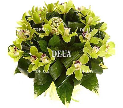 Bouquet of green orchids