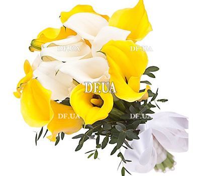 15 белых и желтых калл