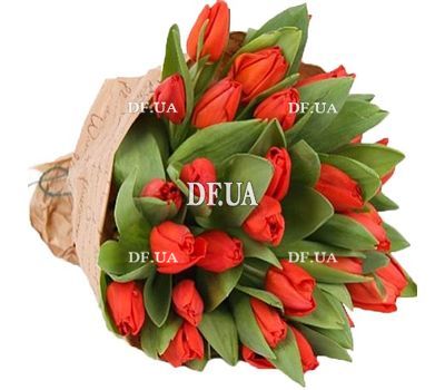 Bouquet of red tulips