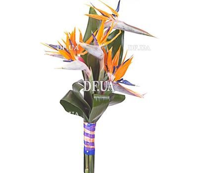 Bouquet with shooting
