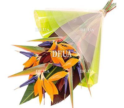 A bouquet of strelitzia
