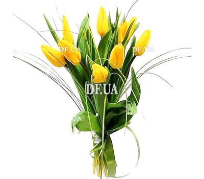 Bouquet of Tulips