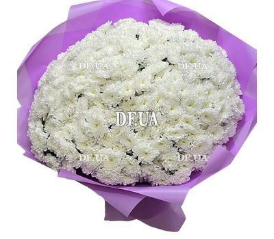 Bouquet of 55 chrysanthemums