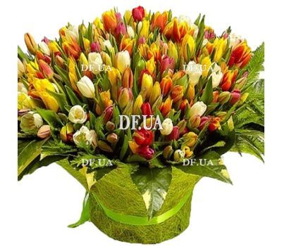 Elite bouquet of 301 tulips