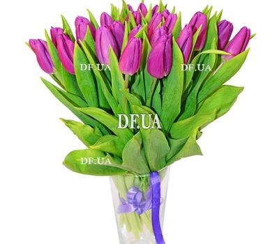Purple tulips