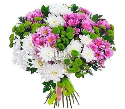 Chrysanthemums bush