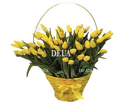 Composition of tulips in a basket