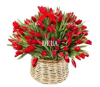 Shopping cart 101 red tulip