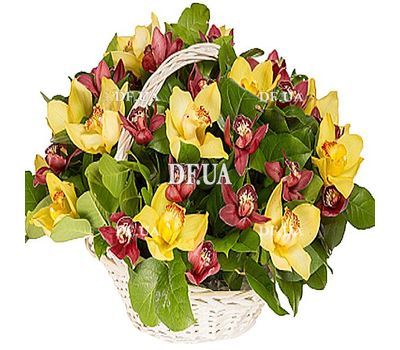 Basket of orchids