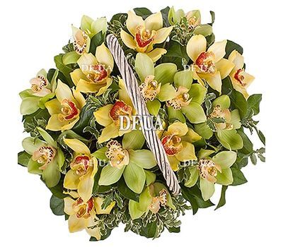 Orchid Basket