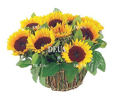 Basket of sunflowers