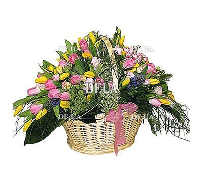 Basket of multi-colored tulips 101 tulip