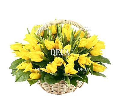 Basket of tulips