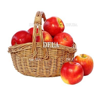 Basket of apples