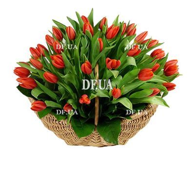 Basket with tulips