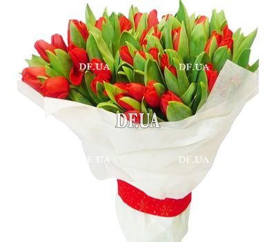 Red tulips bouquet