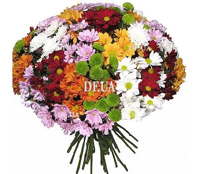 Round bouquet of chrysanthemums