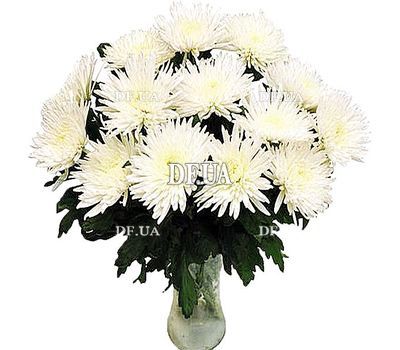 Large chrysanthemums in bouquet