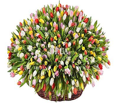 Huge basket of tulips - 301 tulip