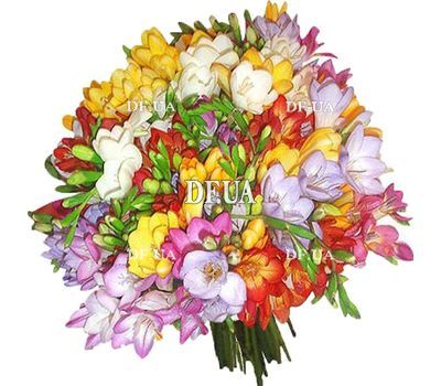 Huge bouquet of freesias