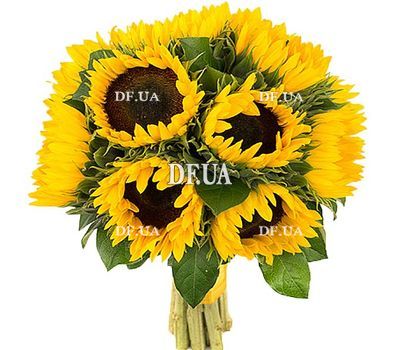 Sunflowers bouquet
