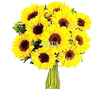 Buy Sunflowers