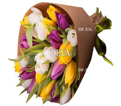 Multicolored tulips