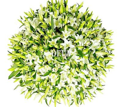 The most beautiful bouquet of 101 lilies
